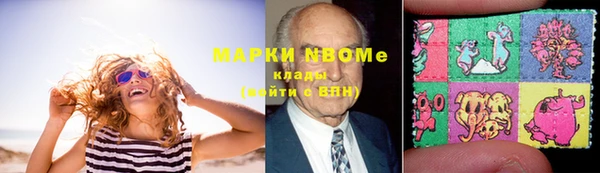 хмурый Касимов