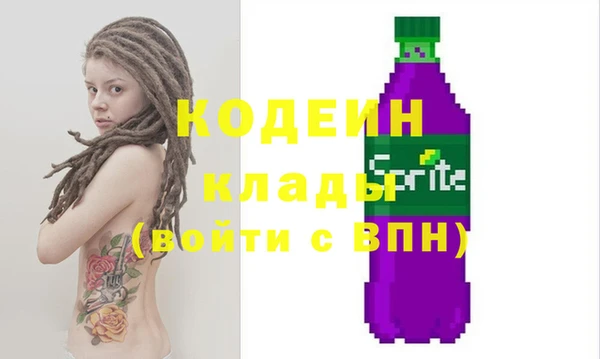 хмурый Касимов